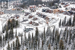 455 Feathertop Way - Photo 2