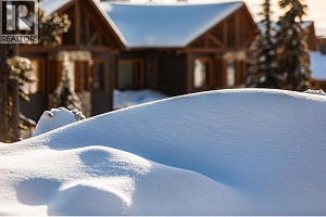 455 Feathertop Way - Photo 23