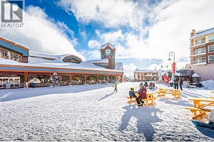 455 Feathertop Way - Photo 24