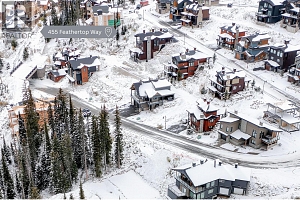 455 Feathertop Way - Photo 3