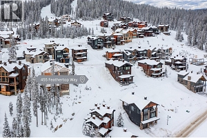 455 Feathertop Way - Photo 5