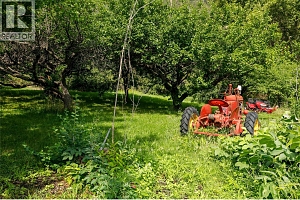 16821 Owl's Nest Road - Photo 43