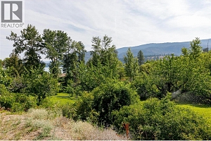 16821 Owl's Nest Road - Photo 46