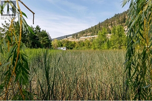 16821 Owl's Nest Road - Photo 66