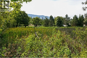 16821 Owl's Nest Road - Photo 65