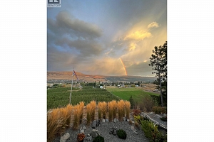 9703 Celeste Road - Photo 48