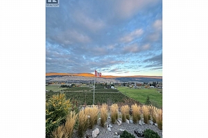 9703 Celeste Road - Photo 49