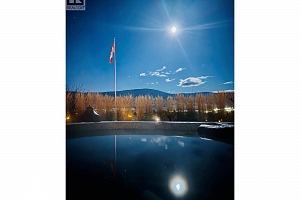 9703 Celeste Road - Photo 50