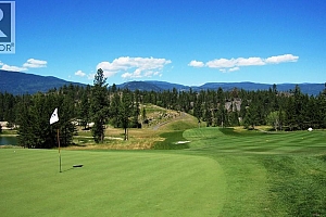 272 Chicopee Road Unit# 5 - Photo 43