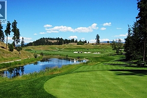 272 Chicopee Road Unit# 5 - Photo 47