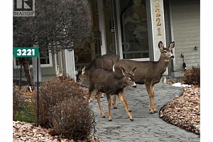 3221 Centennial Drive Unit# 401 - Photo 21
