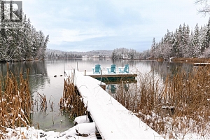 781 Gardom Lake Road - Photo 65