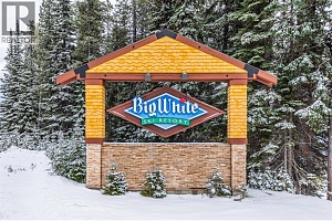 240A Grizzly Ridge Trail - Photo 26