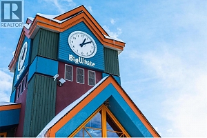 240A Grizzly Ridge Trail - Photo 27