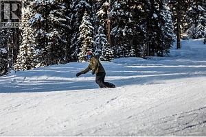 240A Grizzly Ridge Trail - Photo 32