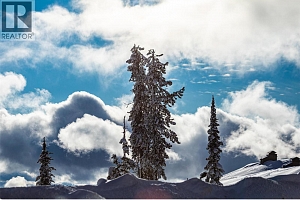 240A Grizzly Ridge Trail - Photo 34