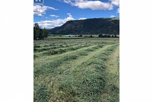 7630 97A Highway - Photo 50