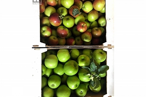 7630 97A Highway - Photo 53