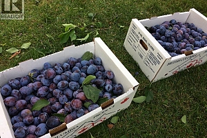 7630 97A Highway - Photo 54