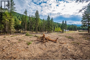 6386 Highway 33 Highway - Photo 11