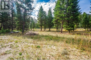 6386 Highway 33 Highway - Photo 15