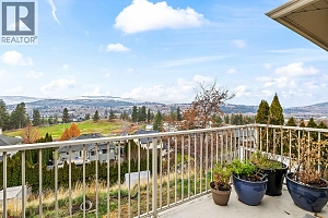 10290 Teresa Road - Photo 19