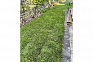 6635 Tronson Road Unit# 16 - Photo 30