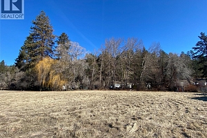 5631 Wild Goose Street - Photo 2