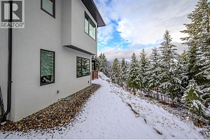 9196 Tronson Road Unit# 29 - Photo 41