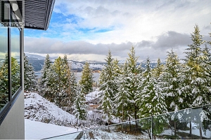 9196 Tronson Road Unit# 29 - Photo 49