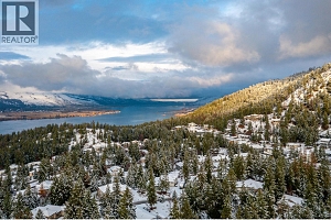 9196 Tronson Road Unit# 29 - Photo 60