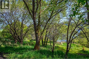 7328 Tronson Road - Photo 17