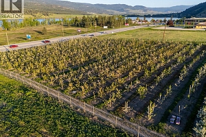 4295 Shanks Road - Photo 10