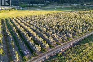 4295 Shanks Road - Photo 11