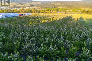 4295 Shanks Road - Photo 13