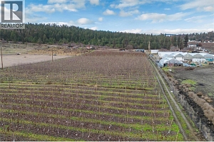 4295 Shanks Road - Photo 20