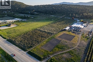 4295 Shanks Road - Photo 9