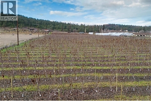 4295 Shanks Road - Photo 18