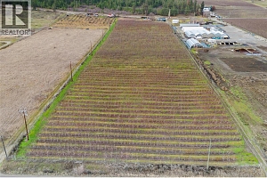 4295 Shanks Road - Photo 19