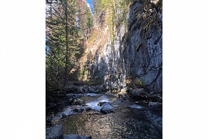 423 Highway 6 Highway - Photo 40