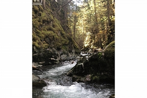 423 Highway 6 Highway - Photo 41