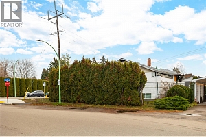 3514 CASORSO Road - Photo 5