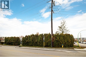 3514 CASORSO Road - Photo 6