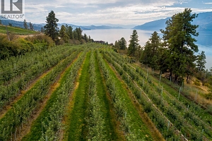 South Lot - 15490 Carrs Landing Road - Photo 11