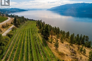 South Lot - 15490 Carrs Landing Road - Photo 4