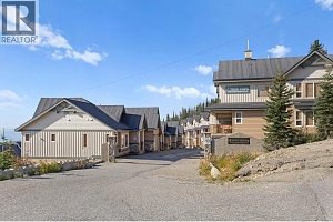 7640 Porcupine Road Unit# 33 - Photo 45