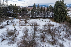 10151 Chase Road - Photo 43