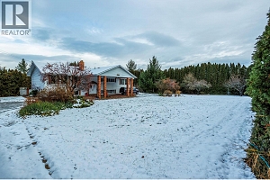 10151 Chase Road - Photo 46