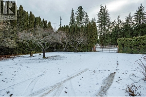 10151 Chase Road - Photo 47