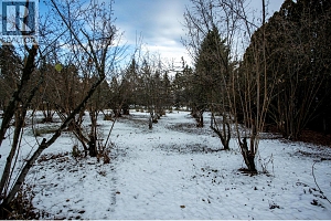 10151 Chase Road - Photo 50